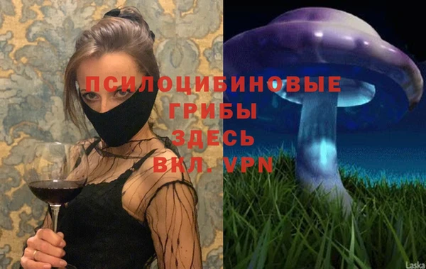 твердый Нязепетровск