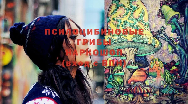 твердый Нязепетровск