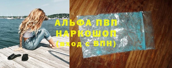 PSILOCYBIN Кизел