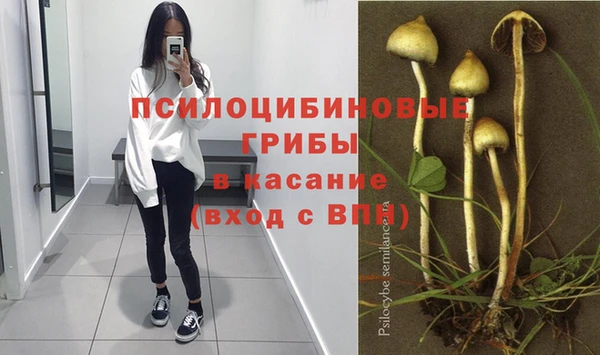 твердый Нязепетровск