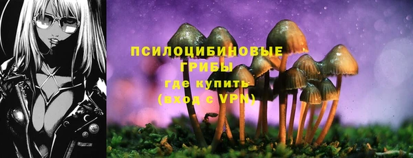твердый Нязепетровск